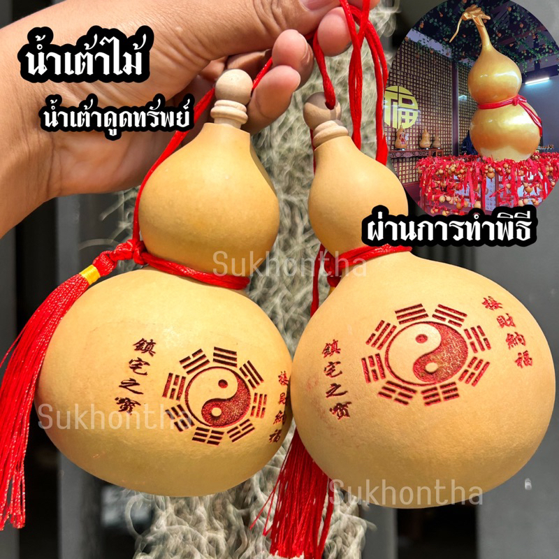 น้ำเต้าแท้ น้ำเต้าไม้ ทำพิธีเรียกทรัพย์จากวัดจีนใบใหญ่