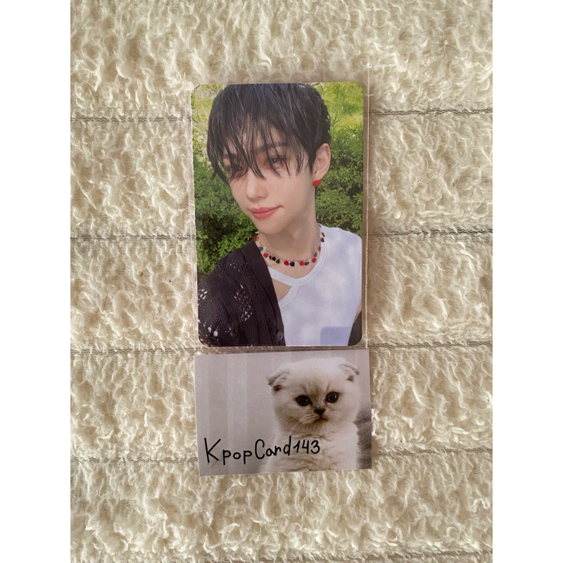 Stray kids Felix Official Photocard Maxident