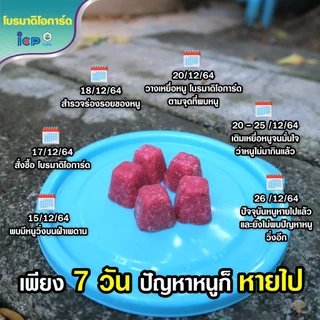 🔥ออกใบกำกับภาษีได้📌 ยาเบื่อหนู เหยื่อกำจัดหนู โปรมาดิโอการ์ด ตายแห้ง ขนาด 10 ก้อน