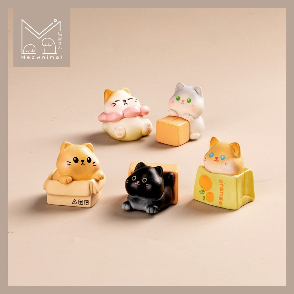 ยกเซต โมเดลแมวจิ๋วในกล่องลัง ได้ครบ 5 ตัว [Meawnimal]