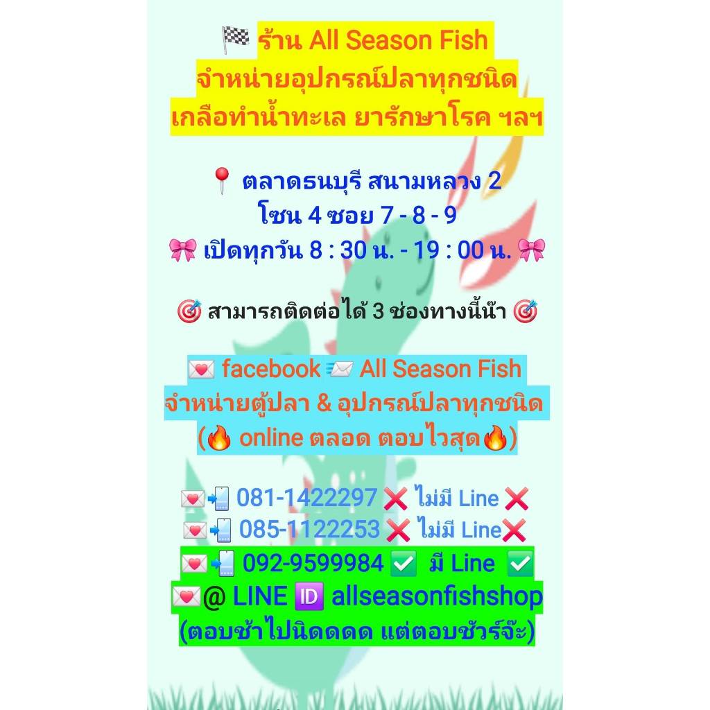 10 kg. MARINIUM > Aqua subtra ทรายทะเล (ละเอียดสีครีม) วัสดุรองพื้นบ่อก้นตู้ปลา MRN - รูปที่ 2