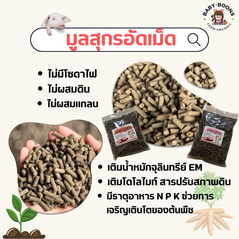 มูลสุกรอัดเม็ด 100% ขี้หมูอัดเม็ด ปุ๋ยขี้หมู ปุ๋ยอินทรีย์ ออแกนิก บำรุงต้นพืช ผักมีหัว กุ่ยช่าย จากฟาร์มเอง