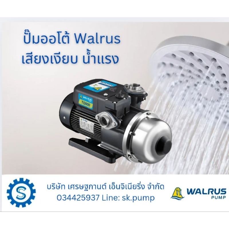 WALRUS TQ400B/TQ400BC ปั๊มน้ำอัตโนมัติ 370วัตต์