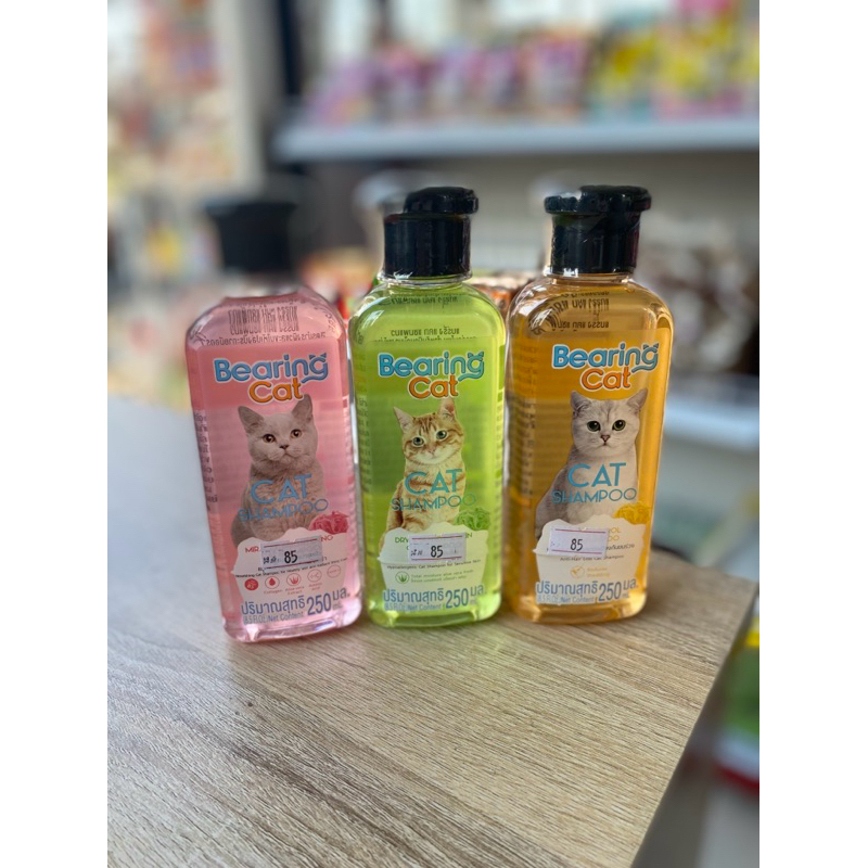 แชมพูแมว bearing cat