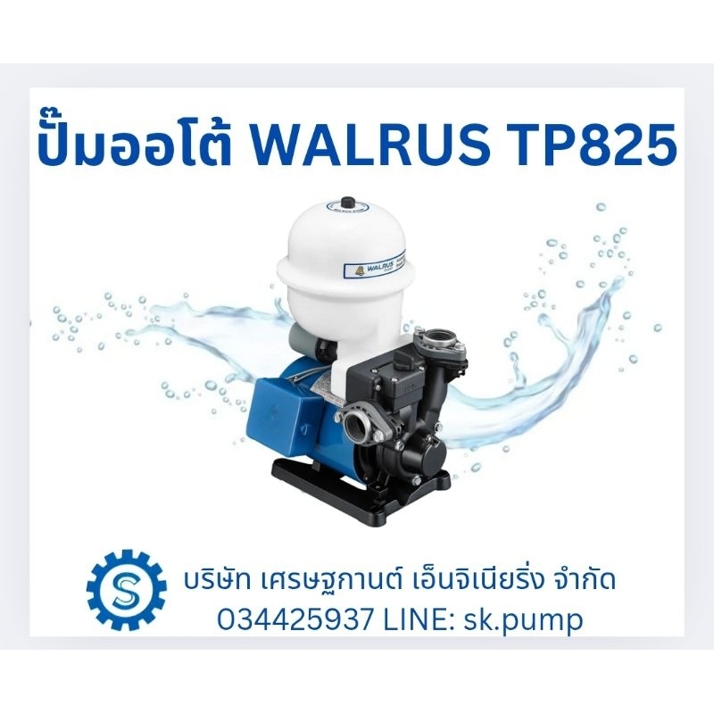 ปั๊มออโต้ ปั๊มอัตโนมัติ 1นิ้ว 370w Walrus TP825