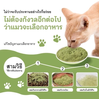 TUIBI แคทนิปแมว กัญชาแมว แบบผงบดละเอียด😺 จาก catnip 100% หญ้าแมวบำรุงแมวอ้วน ตำแยแมว ราคาถูก