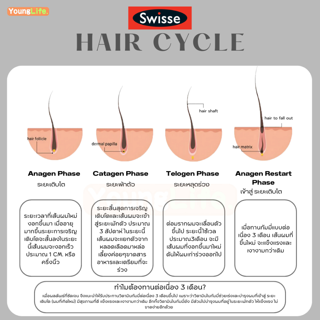 Swisse Beauty Hair Skin Nails Gummies สวิสเซ กัมมี่ อาหารเสริม บำรุงผมให้สุขภาพดีและแข็งแรง 50 เม็ด