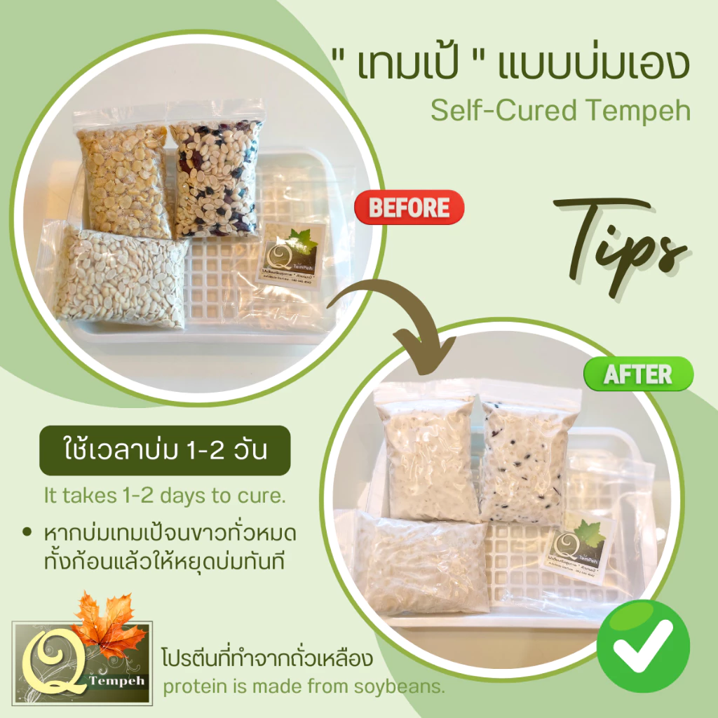 เทมเป้ถั่วเหลืองล้วน (200g-1kg) โปรตีนพืช บ่มง่าย สดใหม่ทุกคำสั่งซื้อ ได้คุณประโยชน์จากโพรไบโอติกส์ thumbnail 5