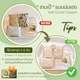 เทมเป้ถั่วเหลืองล้วน (200g-1kg) โปรตีนพืช บ่มง่าย สดใหม่ทุกคำสั่งซื้อ ได้คุณประโยชน์จากโพรไบโอติกส์