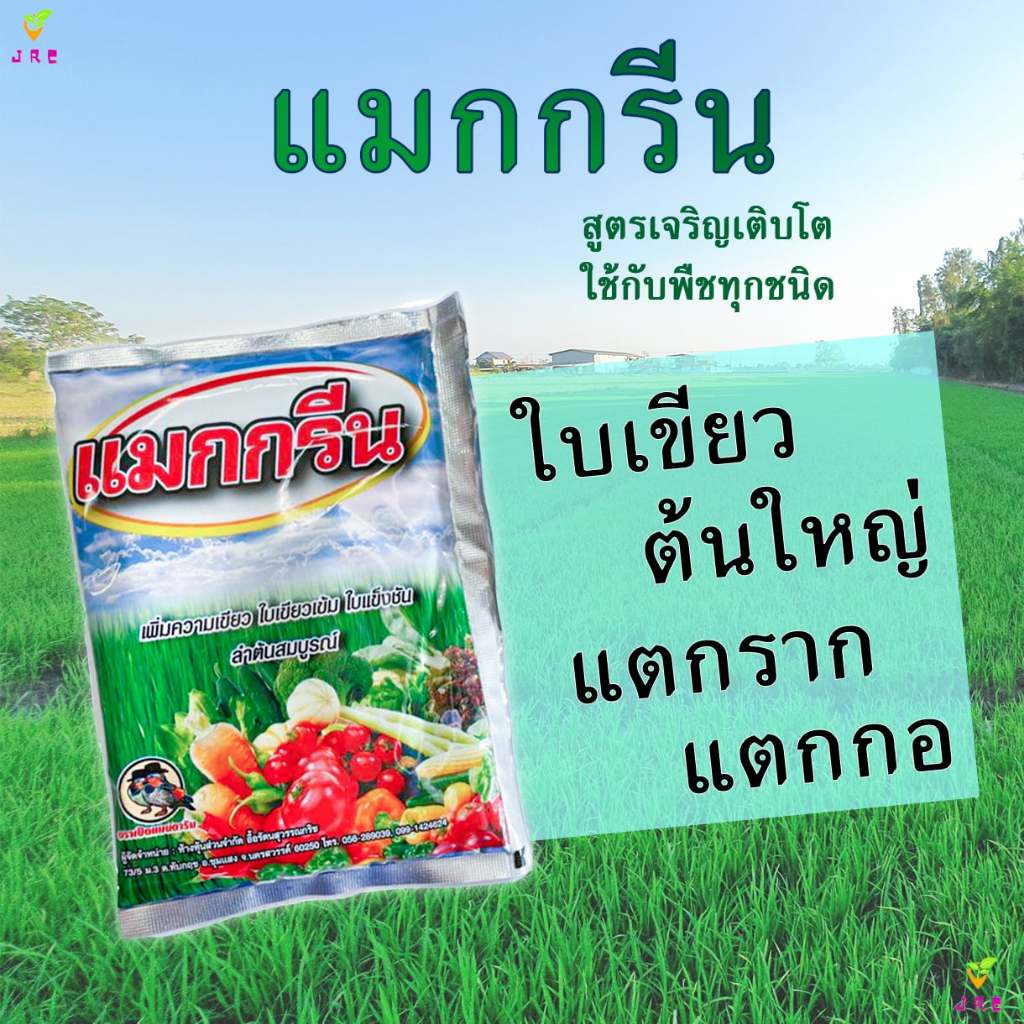 แมกกรีน 100กรัม ฮอร์โมนพืช.อาหารเสริมพืช ธาตุอาหารรอง อาหารเสริม กระตุ้นการแตกราก.เพิ่มความเขียวให้ใบพืช