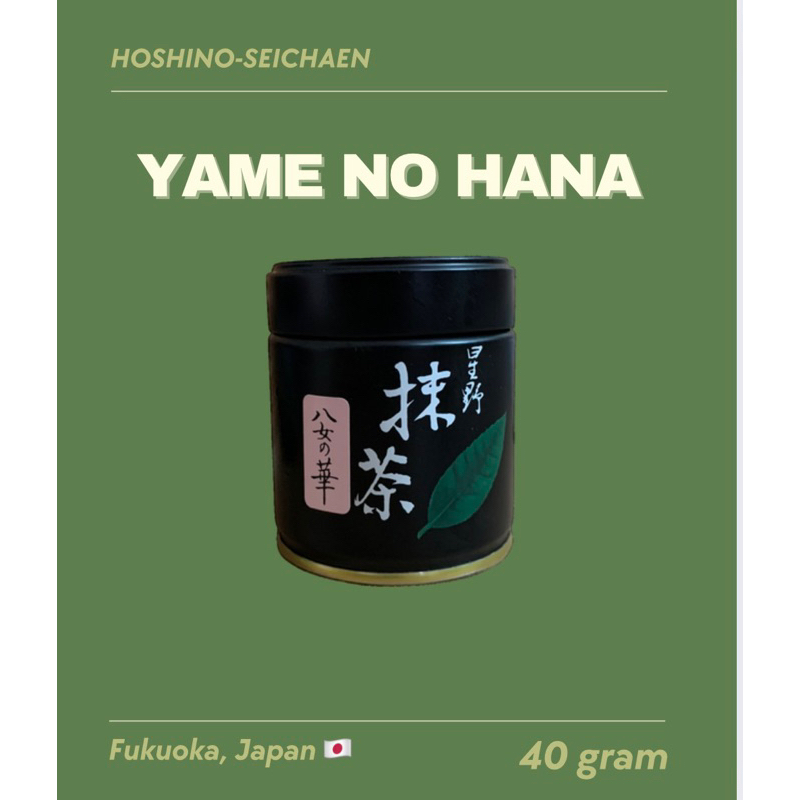Hoshino Yame no hana Matcha🥜 ❌พร้อมส่ง มัทฉะถั่วตะโก๊นนน