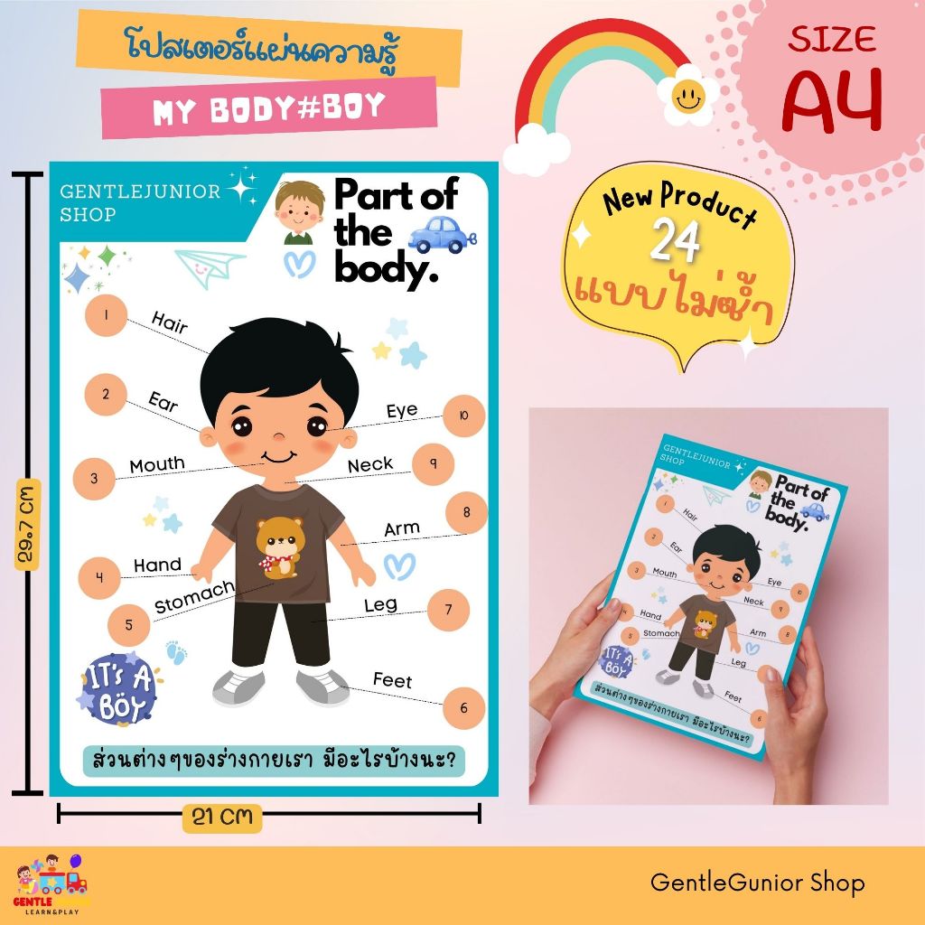 NEW! แผ่นความรู้ หมวด ร่างกายของผม และอีก 24 แบบ! สำหรับเด็กๆ ขนาด A4 สื่อการสอนหัดอ่านเสริมพัฒนาการ