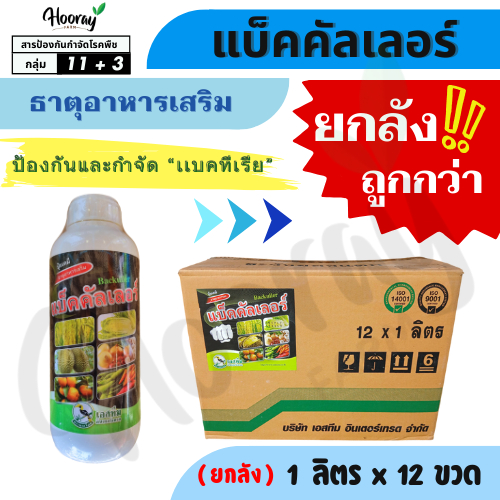 💥💥ยกลัง💥💥 แบ็คคัลเลอร์ x 12 ขวด ( สารประกอบแอมโมเนียม ) กำจัดเชื้อรา ภูมิคุ้มกันพืช สารอาหารพืช