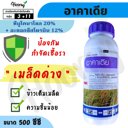 อาคาเดีย 500 cc. ( ทีบูโคนาโซล + อะซอกซีสโตรบิน ) ป้องกัน กำจัด เมล็ดด่าง นาข้าว ข้าวเต็มรวง