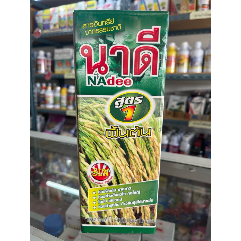 นาดี สูตร1 ฟื้นต้น รากขาว ใบเขียว ใบตั้ง ตั้งตัวไว กอใหญ่ รูปที่ 2