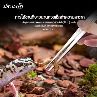 ที่คีบสแตนเลส ฟอร์เซป long forceps ไม้คีบอเนกประสงค์สำหรับตู้ปลา ปลายตรงและปลายงอ ยาว 27 ซม.