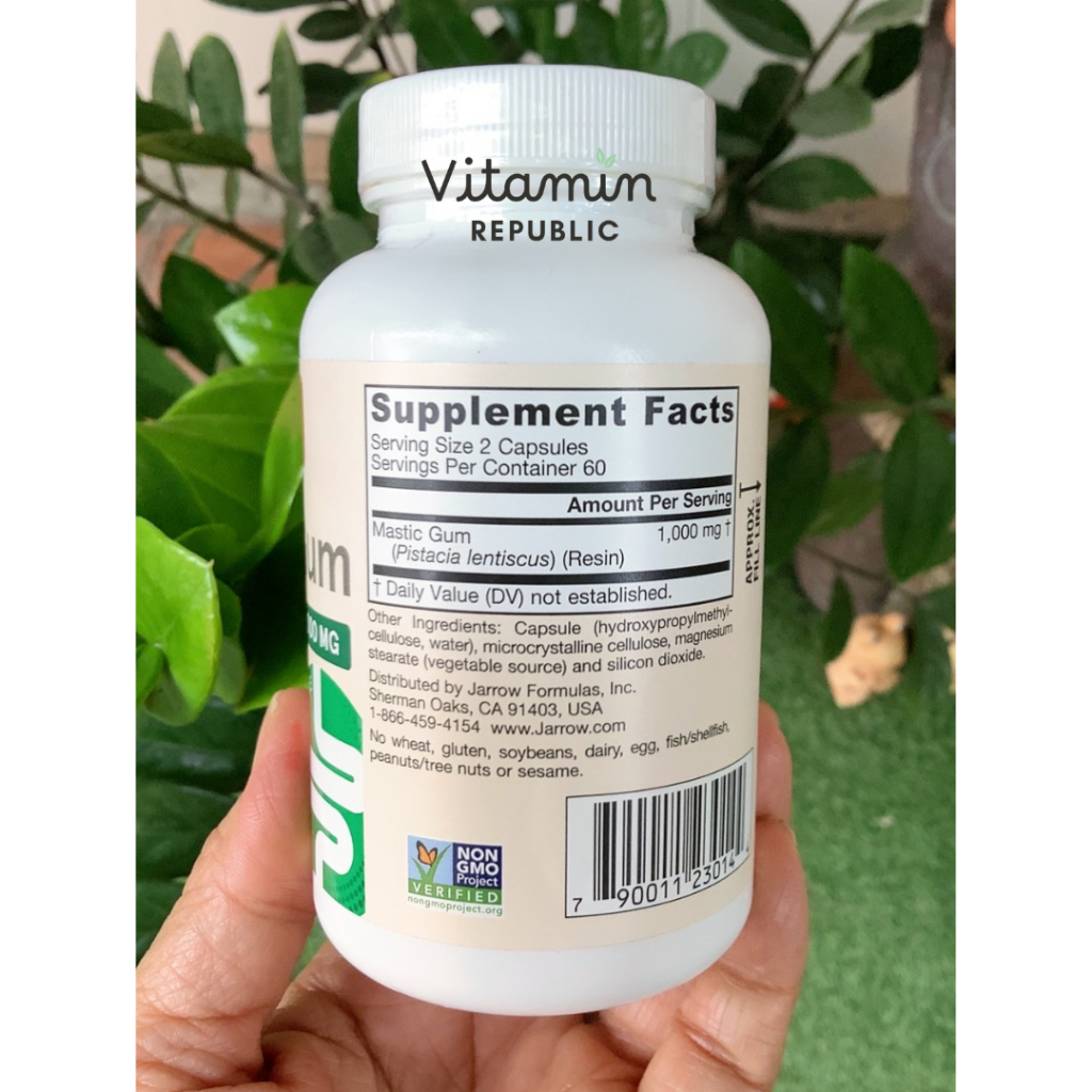 Mustic Gum (500 mg - 120 capsules) by Jarrow Formulas แมสติกกัม - รูปที่ 2