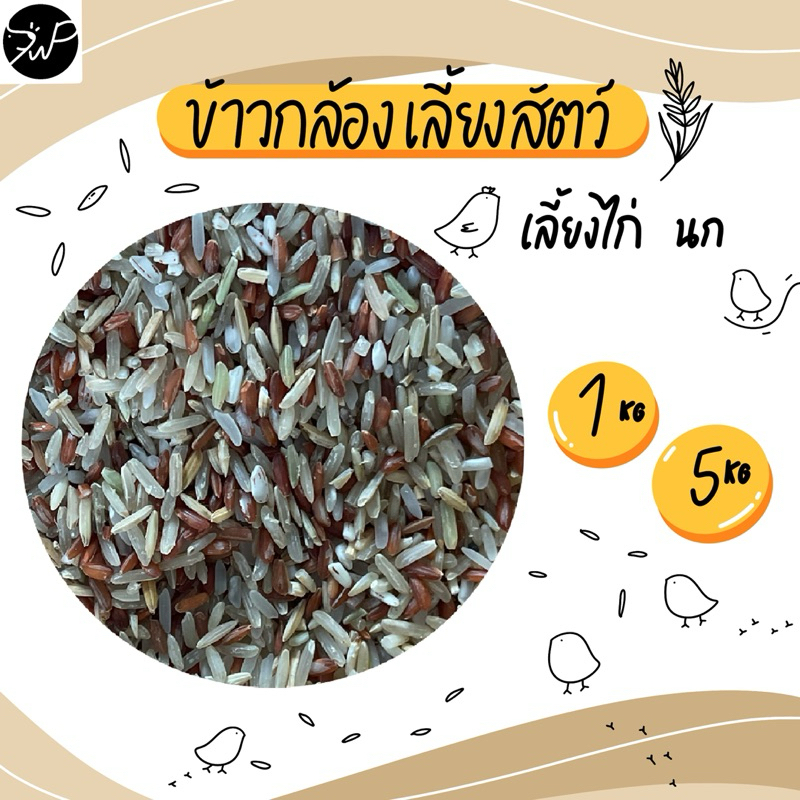 (1กก./5กก.) อาหารไก่ ข้าวไก่ ข้าวไก่ ข้าวก้องเลี้ยงสัตว์