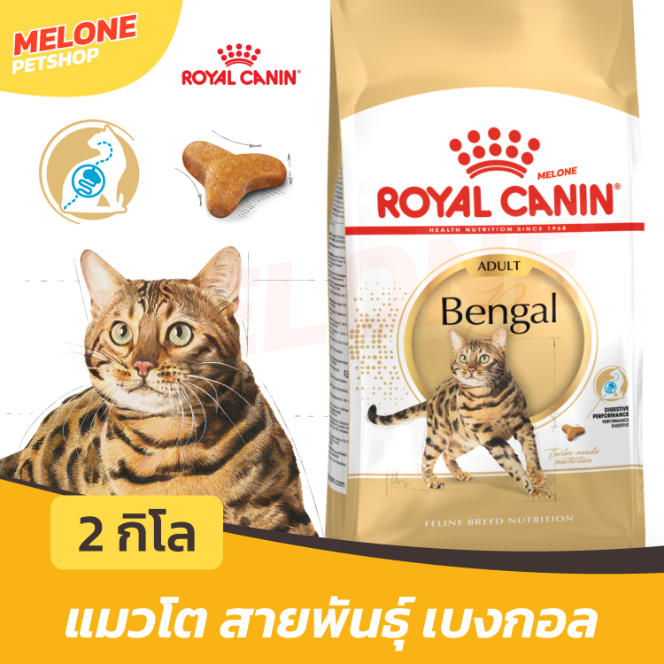 Royal Canin Bengal Adult อาหารแมว แมวโต รอยัลคานิน ตัวแน่น พันธุ์ เบงกอล 2 kg