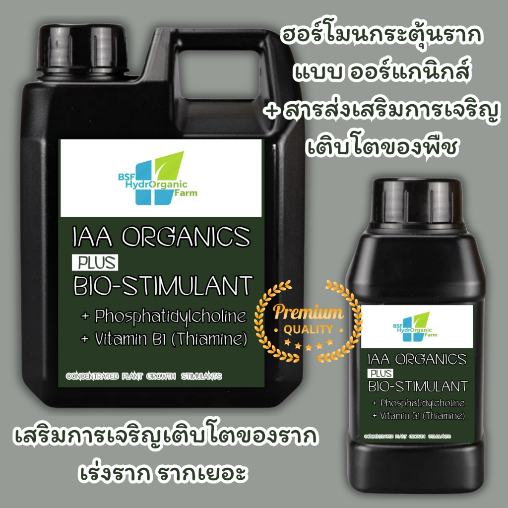 ฮอรโมนเร่งราก น้ำยาเร่งการแตกราก สร้างรากใหม่ สร้างรากเร็ว IAA เร่งใบ เร่งต้น เร่งราก