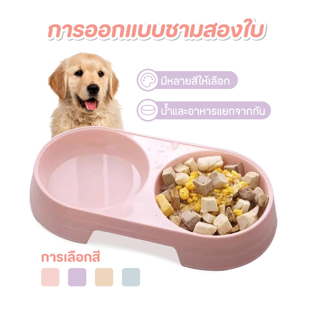 รูปภาพ 2