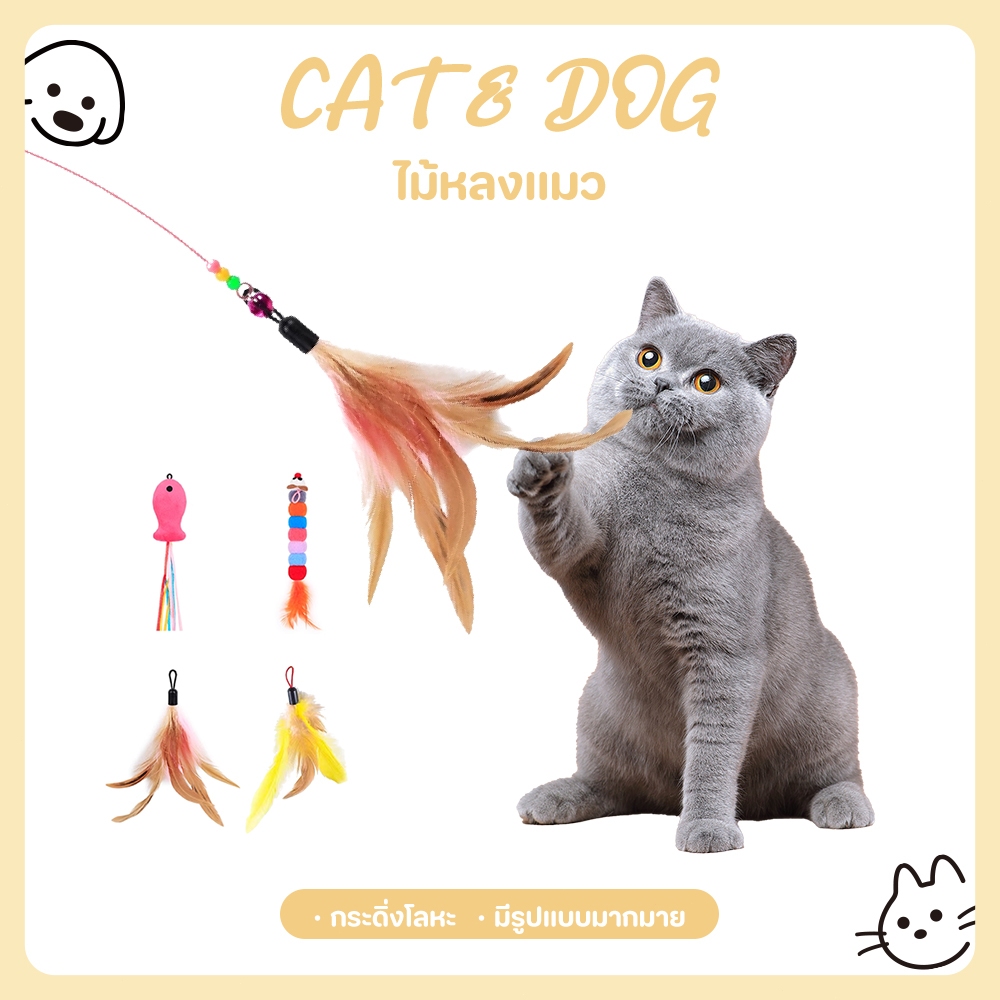 【CAT&DOG】ไม้ล่อแมว ไม้ตกแมว ของเล่นแมว แบบโค้ง ปลายขนไก่ ขนนกหลายสี มีกระดิ่ง รุ่นเบสิค ขนนกล่อแมว