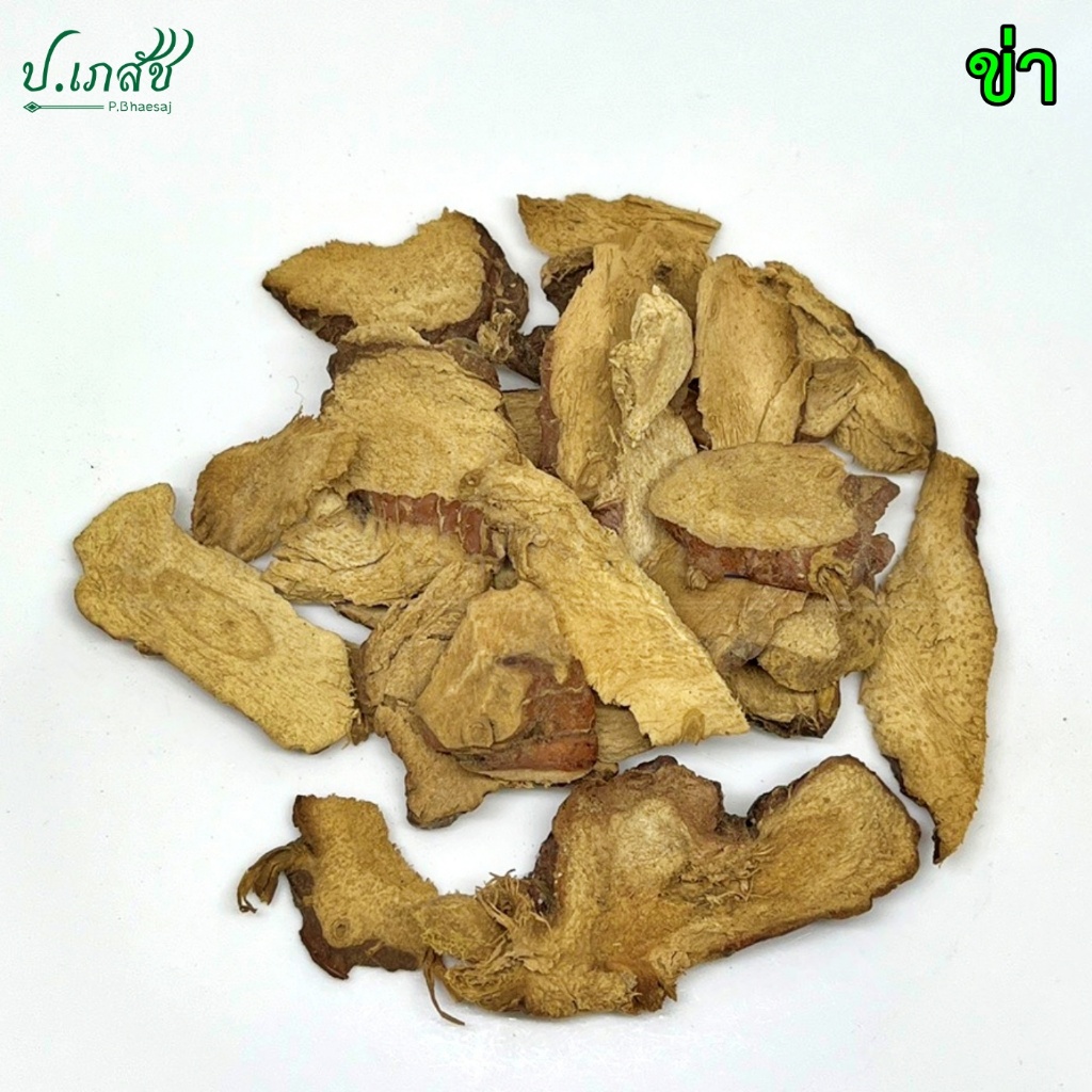 ข่า [50 / 100 กรัม] ข่าแห้ง หัวข่า Galangal