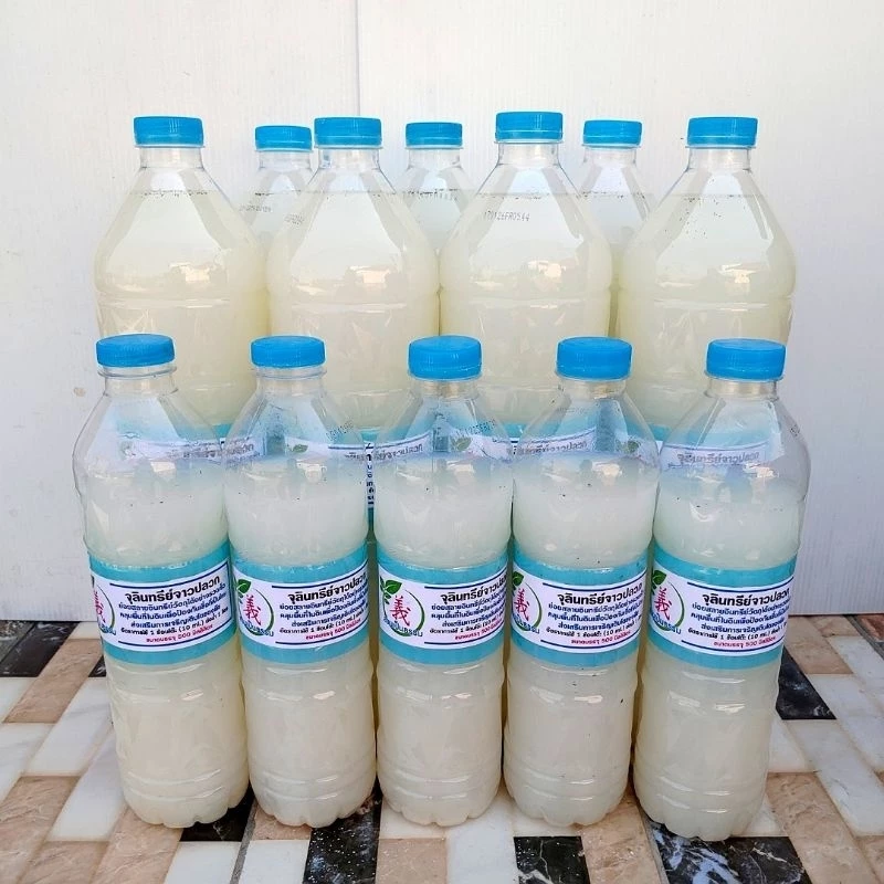 จุลินทรีย์จาวปลวกแบบน้ำ ขนาด 500 และ 1,450 มล. เข้มข้น พร้อมอาหารเลี้ยงเชื้อในขวด อายุการใช้งานยาวๆ