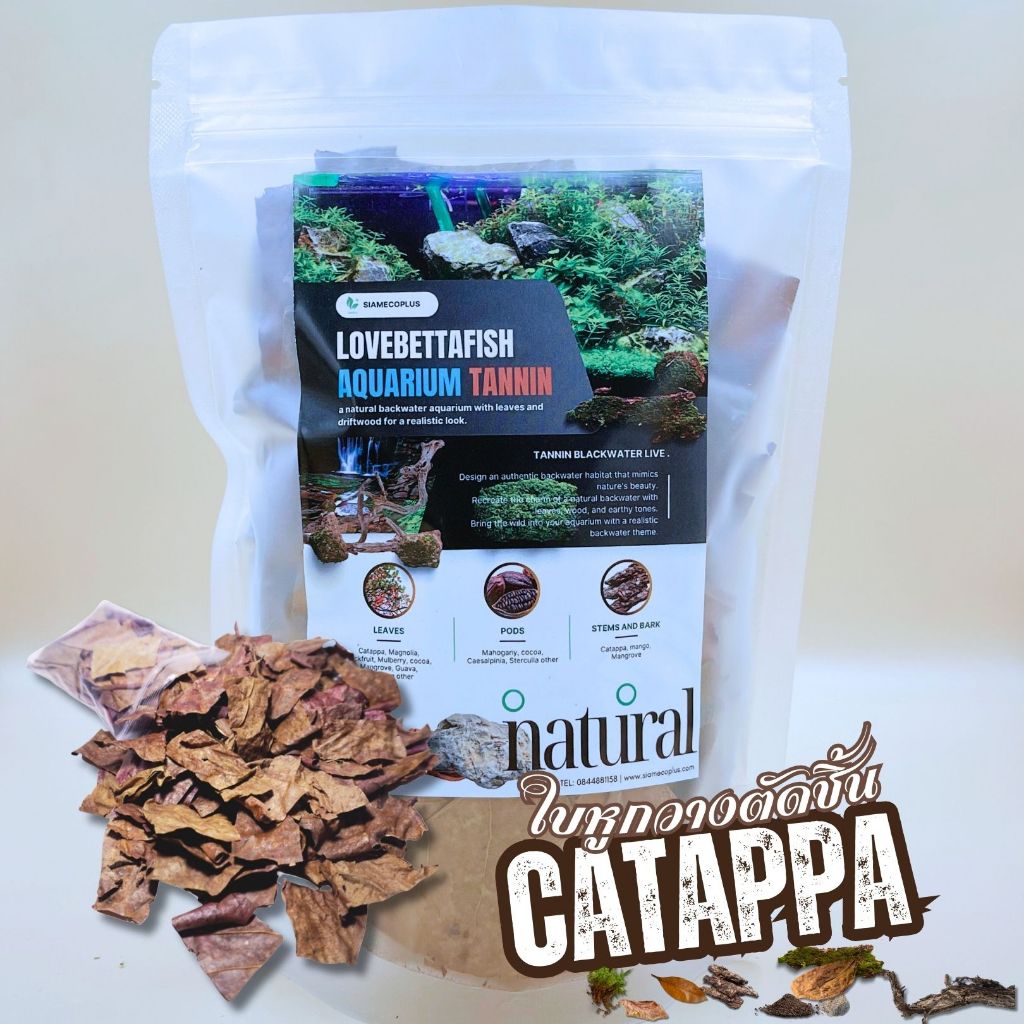 (ถุงซิปล็อคหนา) ใบหูกวางทับแบนตัดชิ้น คุณภาพสูงล้างสะอาด พร้อมตัดก้านออก บรรจุแต่ใบน้ำหนัก 25-30กรัม