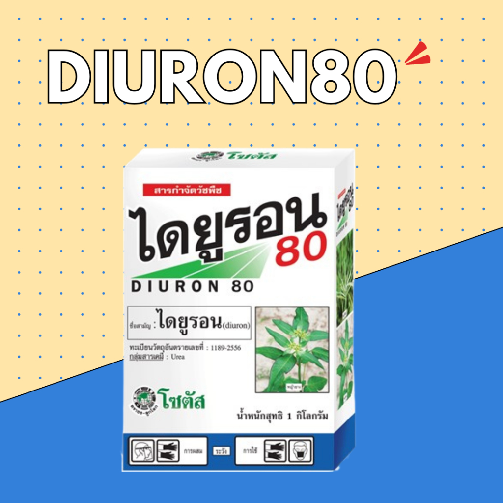ไดยูรอน 80 (Diuron 80) | 1 กิโลกรัม