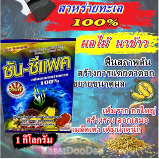 ซันซีแพค 1 กิโล สาหร่ายทะเล100% สำหรับพืชทุกชนิด นาข้าว ทุเรียน ผัก ช่วยฟื้นต้น สร้างอาหาร ขยายลูก เพิ่มน้ำหนัก