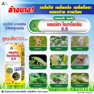 แลมป์ดา ไซฮาโลทริน สูตรเย็น ออกฤทธิ์เร็ว กำจัดหนอน หนอนเจาะต้น แมลงหวี่ขาว เพลี้ย เอเจนต้า คอร์ป ขนาด 1 ลิตร
