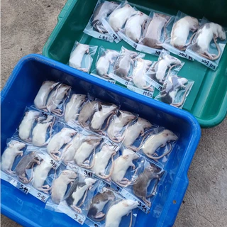 หนูแช่แข็ง หนูแรทแช่แข็ง หนูเหยื่อ อาหารสัตว์เลี้ยง อาหารงู Frozen rats Frozen rodents จัดส่งจากทม.