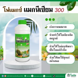 โฟแมกซ์ แมกนีเซียม300 เร่งการเพสลาด ช่วยให้ใบเขียวเข้ม ขนาด 1 ลิตร โซตัส
