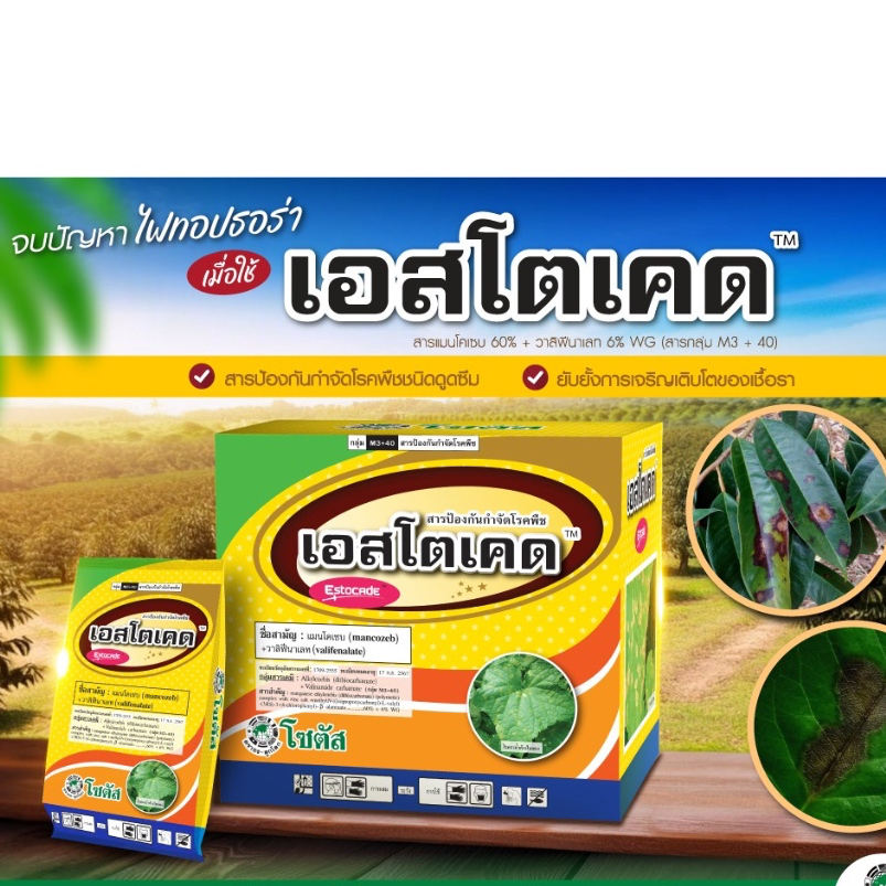 “เอสโตเคด” 1 กก.พิชิตราน้ำค้างได้เด็ดขาด หยุดการระบาดของโรคใบไหม้