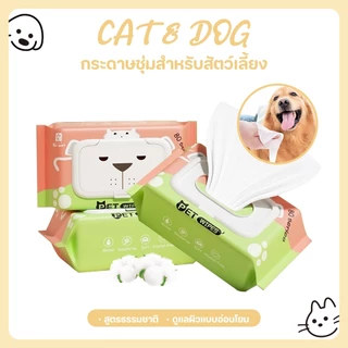 【CAT&DOG】80 แผ่น/แพ็ค ผ้าเปียกทำความสะอาดสัตว์เลี้ยงปราศจากแอลกอฮอล์ ช่วยระงับกลิ่นและต้านเชื้อแบคทีเรีย