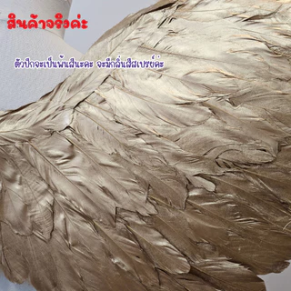 พร้อมส่งจากไทย ปีกสีทอง ปีกสีเงิน ชุดแฟนซี