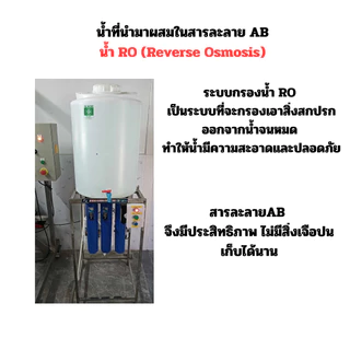 สารละลายAB สูตรพิเศษ โตเร็ว 1 ลิตร ยอดขายอันดับ 1 (A 1 ลิตร B 1 ลิตร) ถ้วยตวง เมล็ดผัก ไฮโดรโปนิกส์