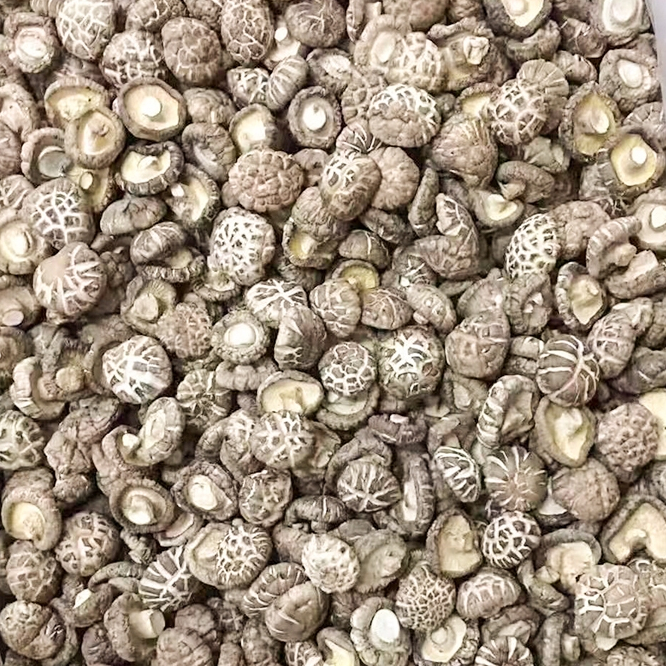 AAA3花菇 เห็ดหอมพรีเมี่ยม 500กรัม/ถุง รสชาตินุ่มละมุน รสชาติเห็ดเข้มข้น