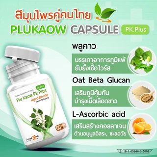 ซื้อคู่ PK Plus Plu Kaow พลูคาวพีเค พลัส ช่วยเสริมภูมิ ต้านไวรัส