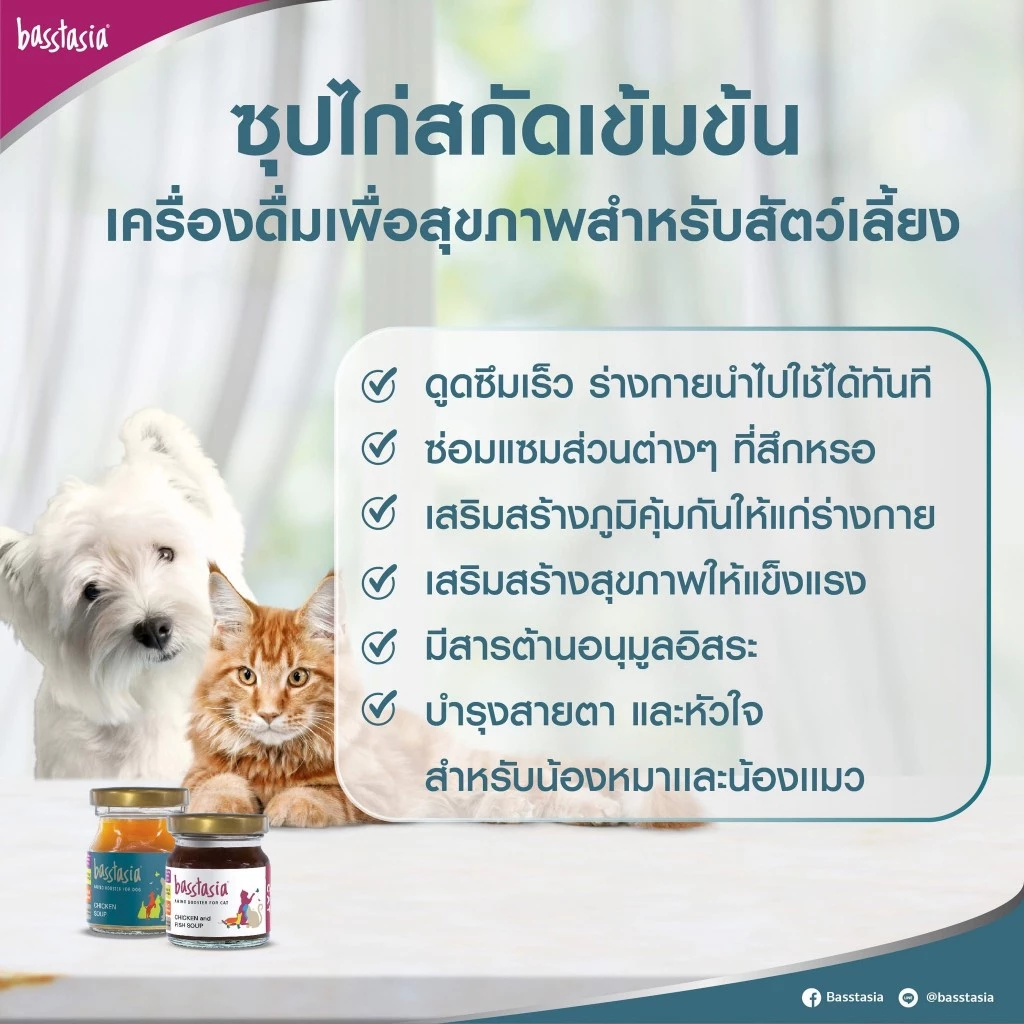 Basstasia Amino Booster ซุปไก่และปลาสกัดเข้มข้นสำหรับแมว (ขนาด 40 ml) หอมอร่อย สินค้าคุณภาพ พร้อมส่ง thumbnail 6