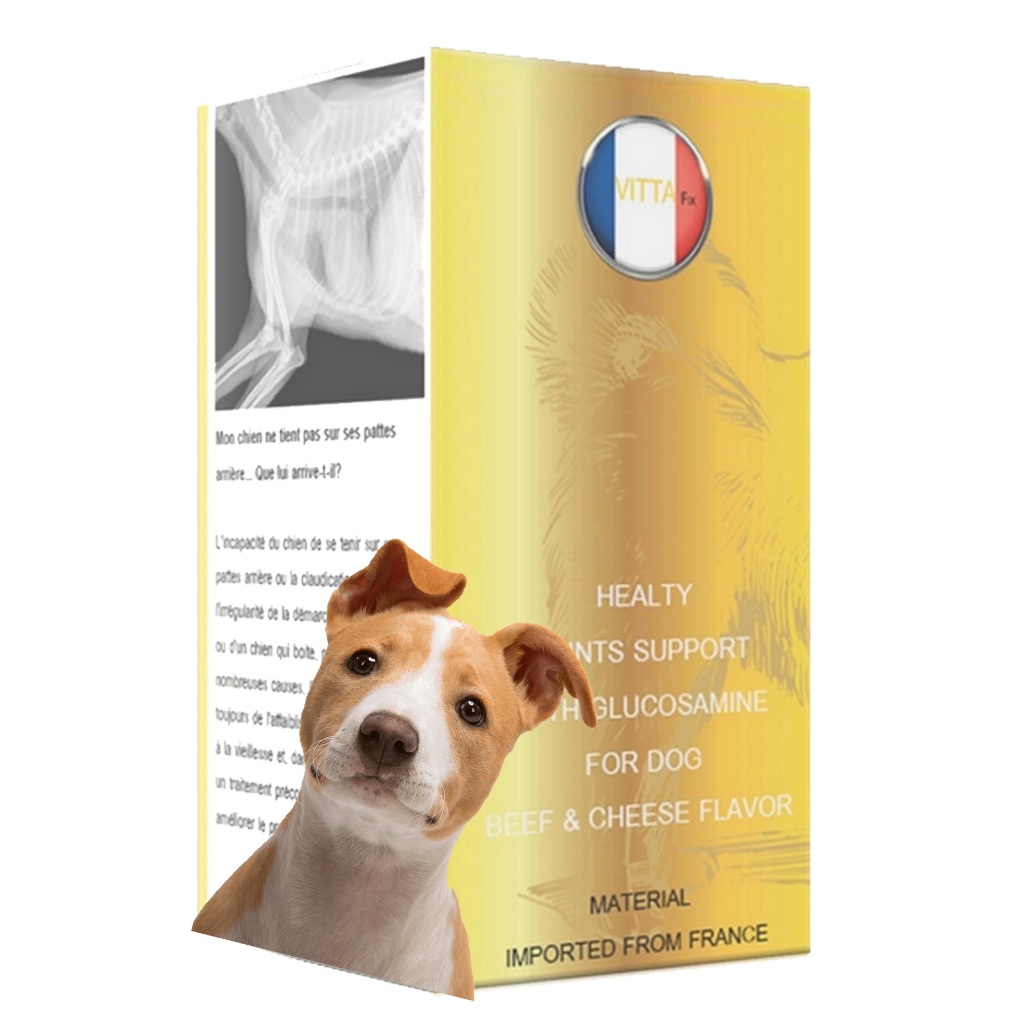 ผ้ารัดขา สุนัข calflex สุนัข ดีไหม  Calflex สุนัข pantip CalFlex กับ Antinol pantip calflex กินตอนไห