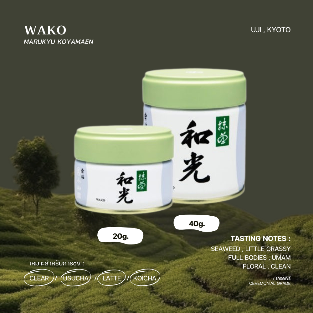 มัทฉะเกรดพิธี "Wako 和光" - MARUKYU KOYAMAEN