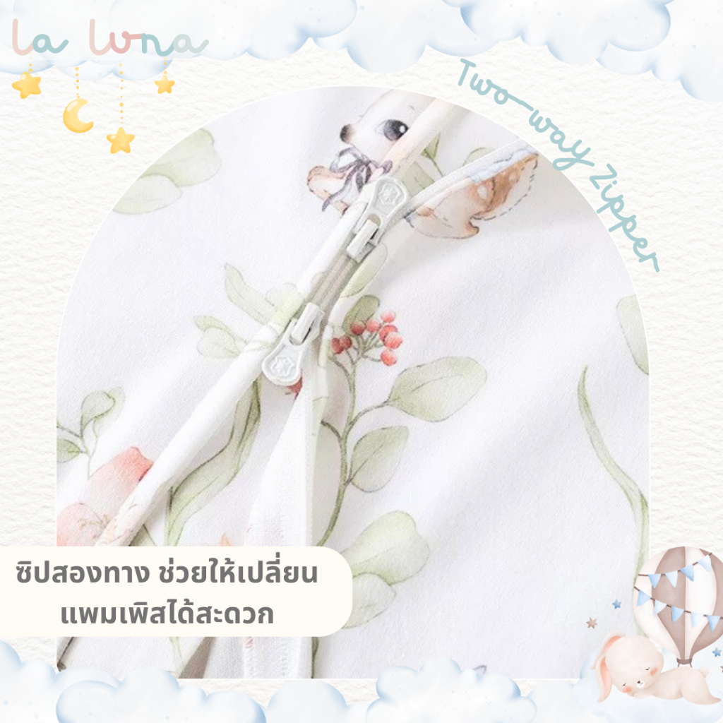 รูปภาพ 3