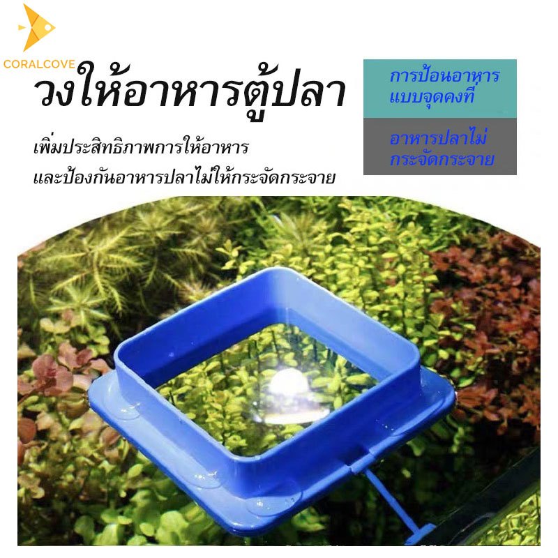 coralcoveshop ห่วงให้อาหารปลา ที่กั้นอาหารปลา แบบกลม แบบสี่เหลี่ยม ที่ให้อาหารปลา ที่กักอาหารปลา