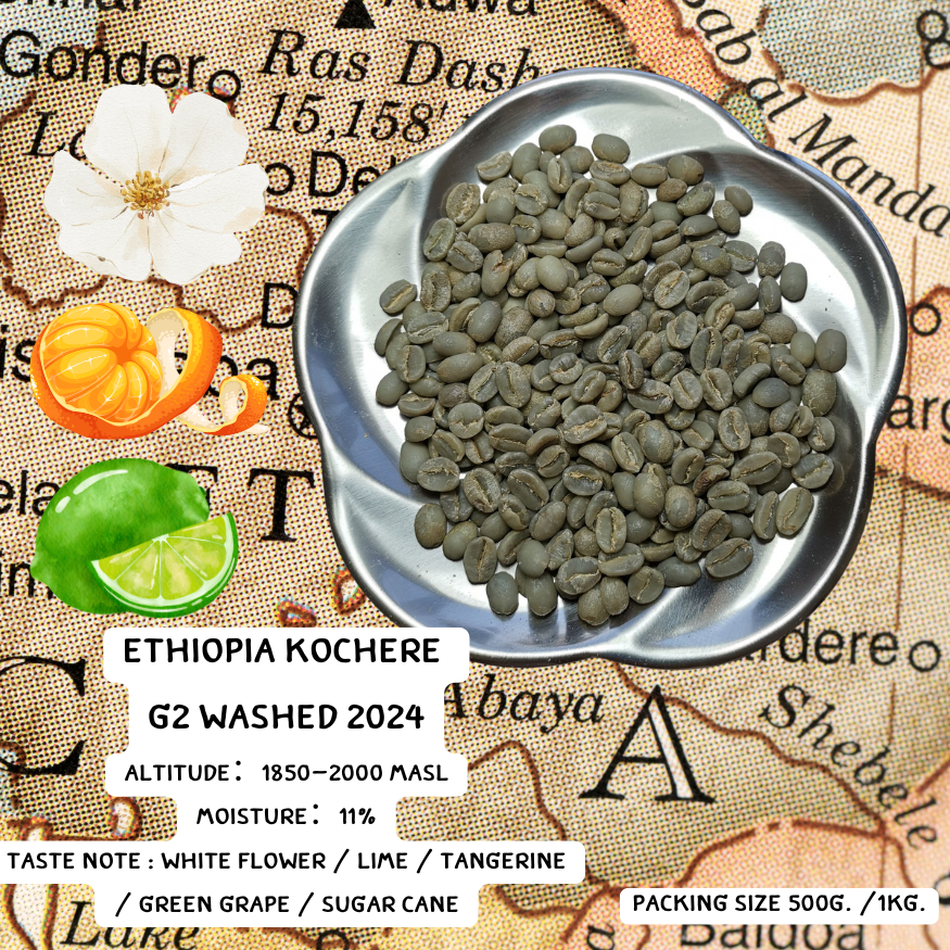 สารกาแฟ Ethiopia Kochere G2 Washed