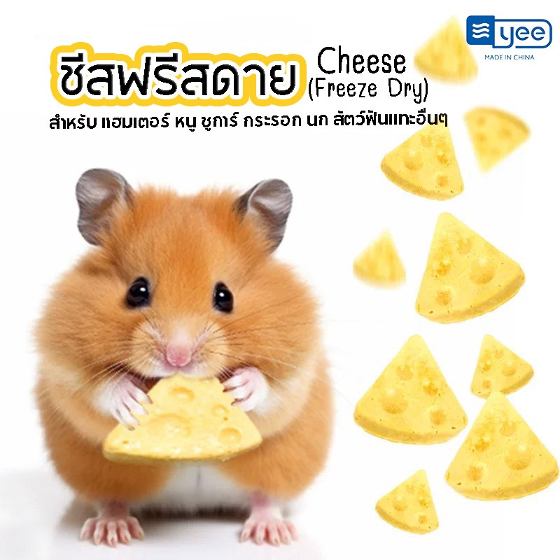 ขนมใหม่ล่าสุด ขนมแฮมสเตอร์ ชูการ์ กระรอก กระต่าย เม่น ดอร์เมาส์ สัตว์ฟันเเทะอื่นๆ