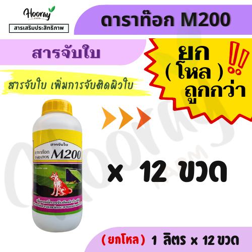 ยกโหล ดาราท๊อก M200 1 ลิตร x 12 ขวด ( สารจับใบ ) หมาแดง ช่วยเพิ่มประสิทธิภาพ การจับติด ผิวใบ