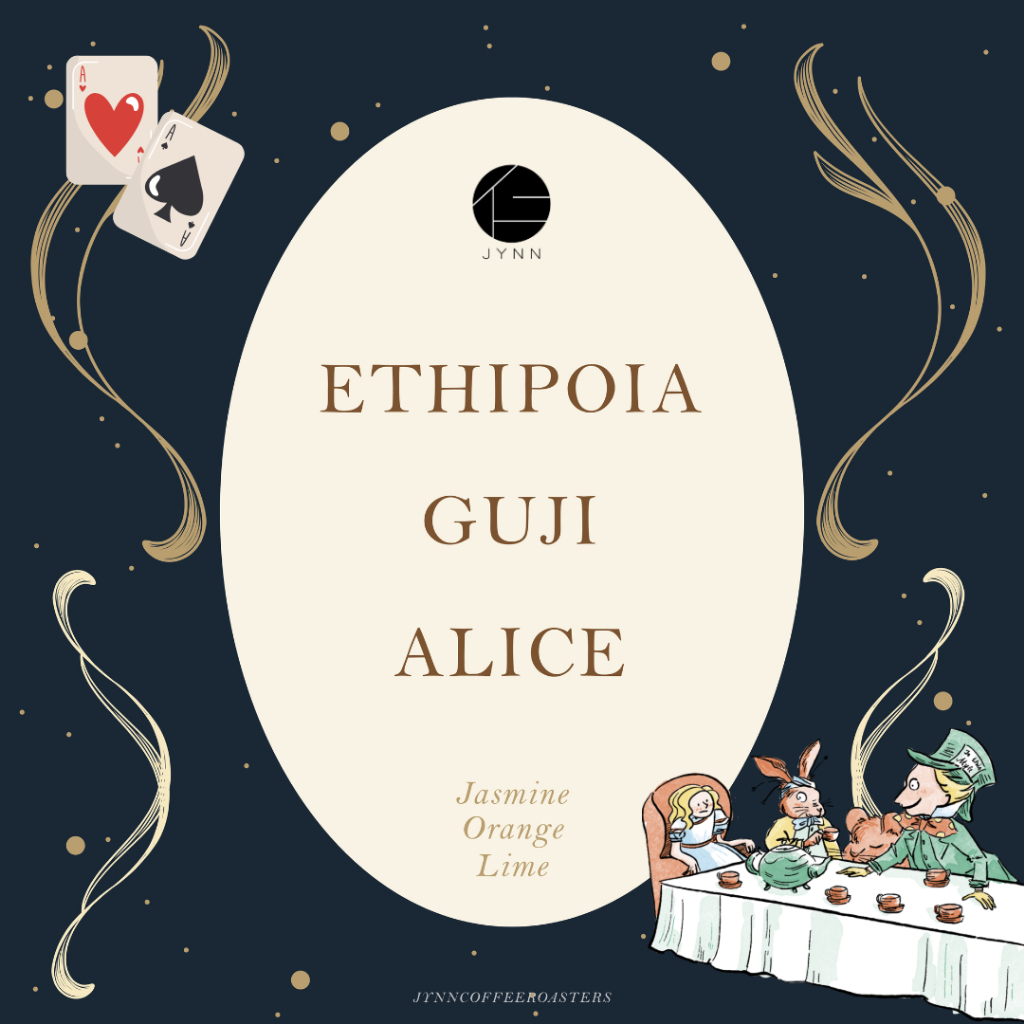 JYNN coffee roasters เมล็ดกาแฟ: Ethiopia Guji Alice - 100g