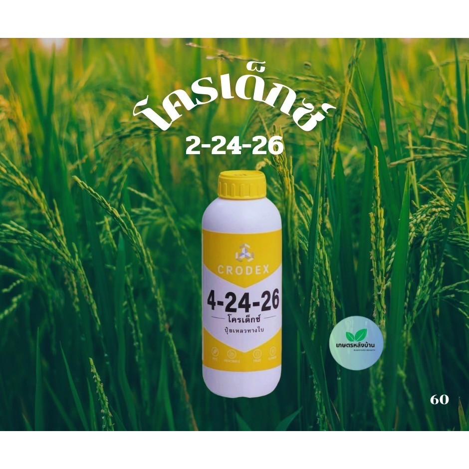 โครเด็กซ์4-24-26 ขนาด 1 ลิตร เร่งดอก กระตุ้นการออกดอก ช่วยให้ดอกสมบูรณ์ เพิ่มความหวาน ช่วยในการออกดอกนอกฤดู. - รูปที่ 3